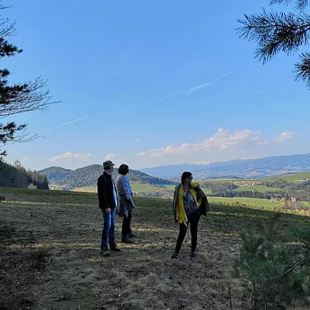 Wohlfühl Wiesenhof 3*