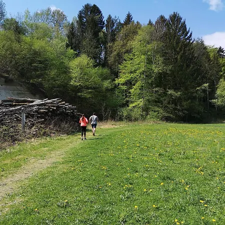 Wohlfuehl Wiesenhof 호텔 Grafendorf bei Hartberg