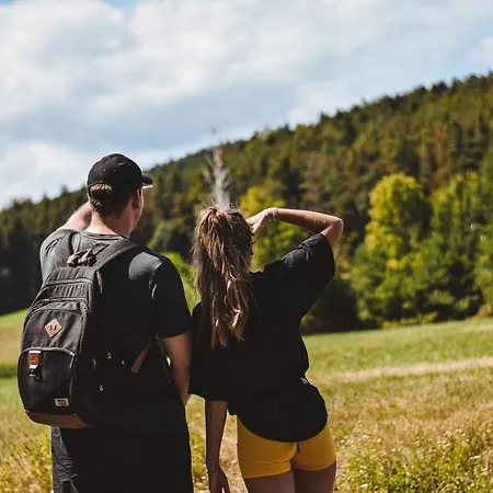 Wohlfuehl Wiesenhof 酒店 3*