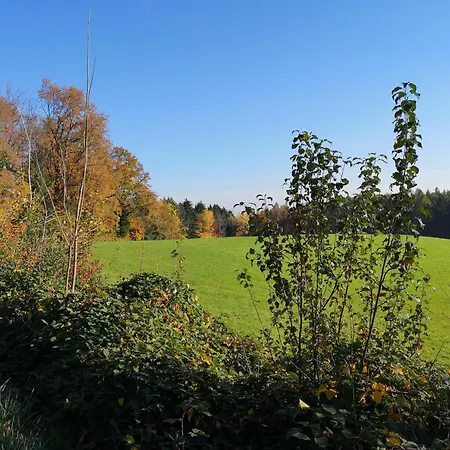 מלון Wohlfuehl Wiesenhof Grafendorf bei Hartberg