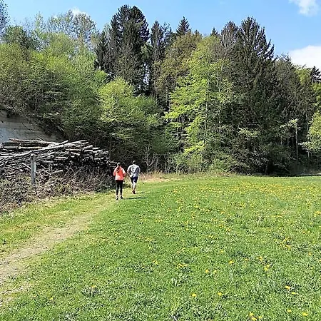 Wohlfuehl Wiesenhof 3*