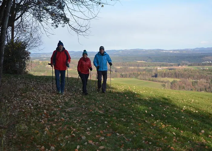 Wohlfuehl Wiesenhof Hotel 3*