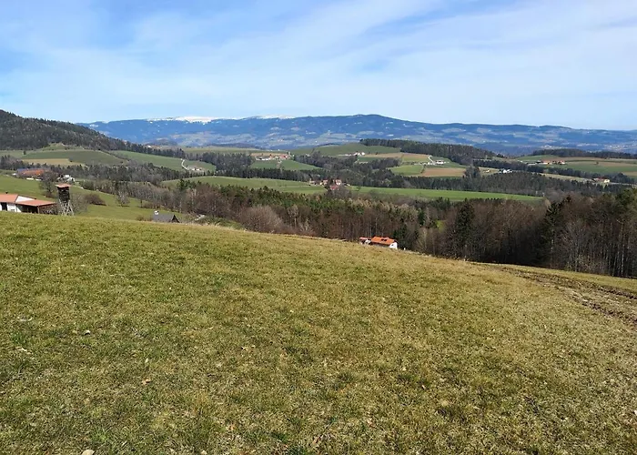 Hotel Wohlfuehl Wiesenhof 3*