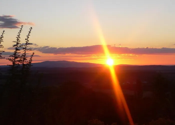 Wohlfuehl Wiesenhof 酒店 Grafendorf bei Hartberg