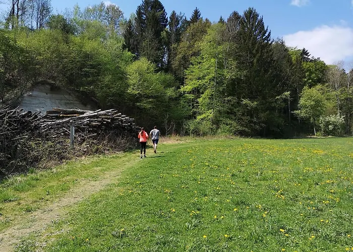 Wohlfuehl Wiesenhof 酒店 Grafendorf bei Hartberg