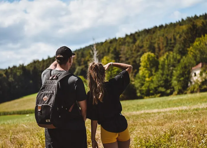 Wohlfuehl Wiesenhof 酒店 3*